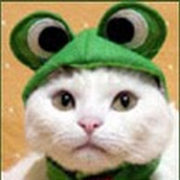Bohdan Rubets profile image